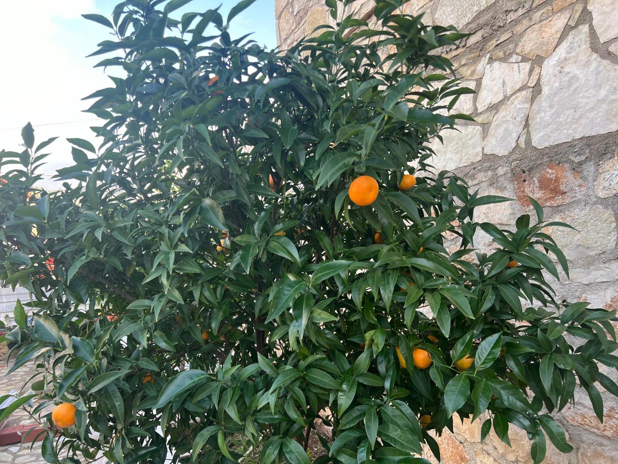 希马拉 Jardin Miraculeux酒店 外观 照片