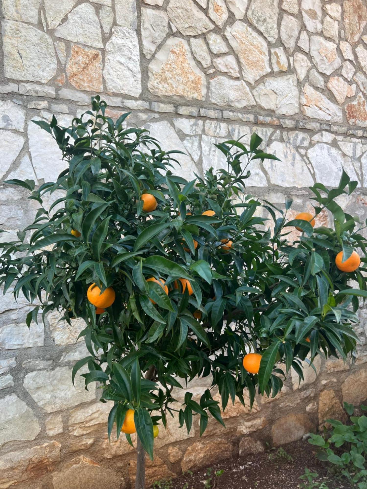希马拉 Jardin Miraculeux酒店 外观 照片